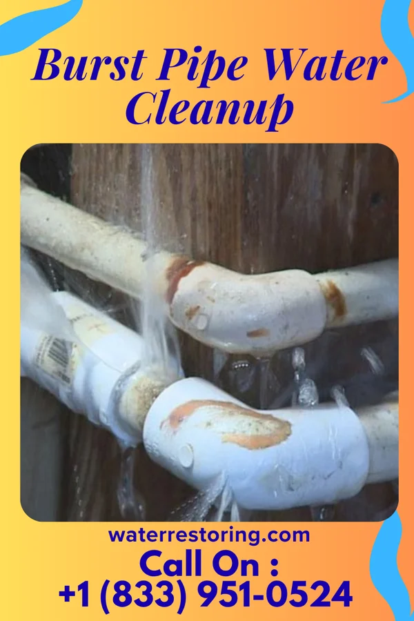 Burst Pipe Water Cleanup in Crest View Heights, NY