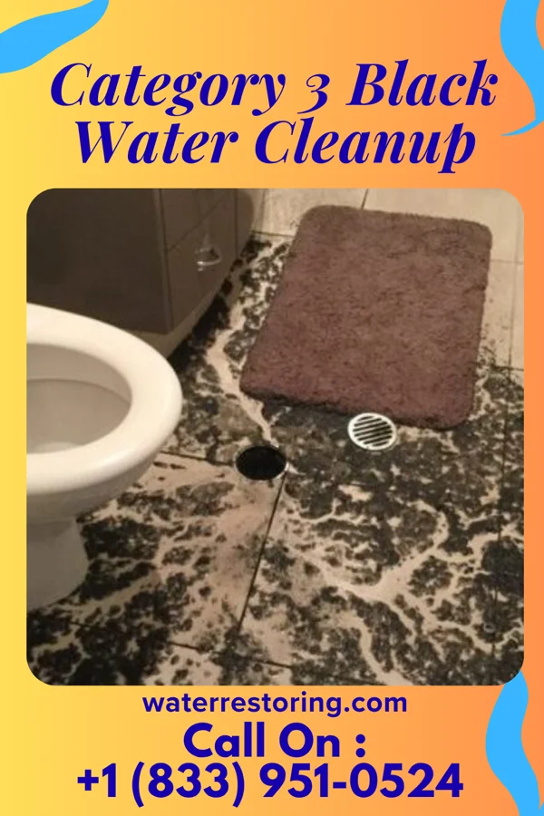 Category 3 Black Water Cleanup in Crest View Heights, NY