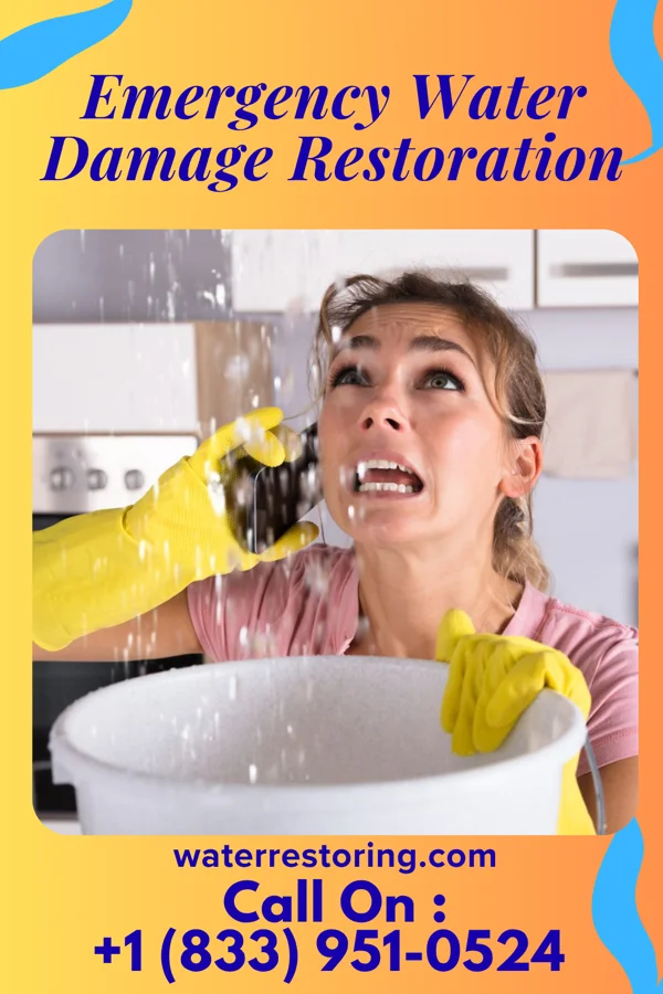 Emergency Water Damage Restoration in Crest View Heights, NY