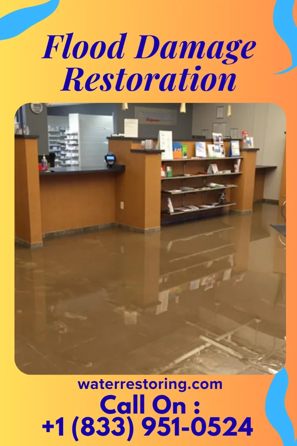 Flood Damage Restoration in Crest View Heights, NY