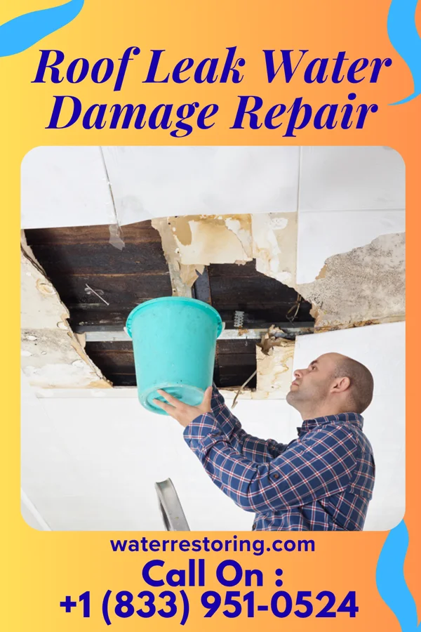 Roof Leak Water Damage Repair in Crest View Heights, NY