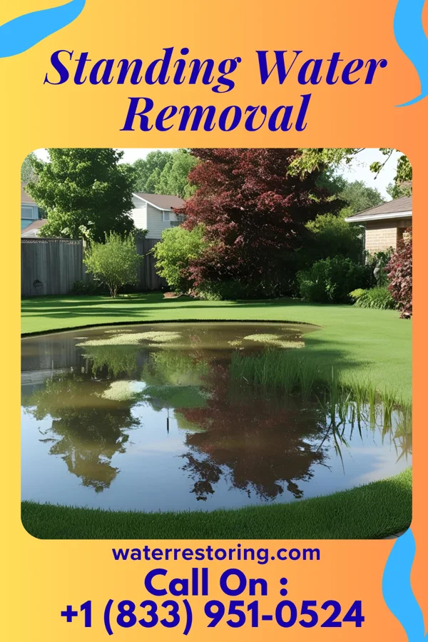 Standing Water Removal in Crest View Heights, NY